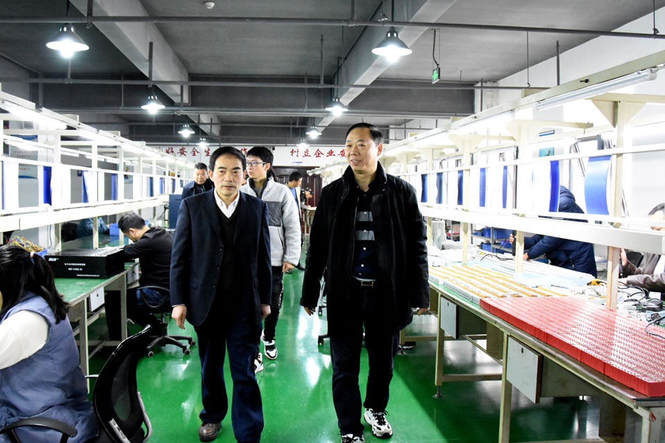 竹溪县政府领导调研新利app软件(集团)股份有限公司
